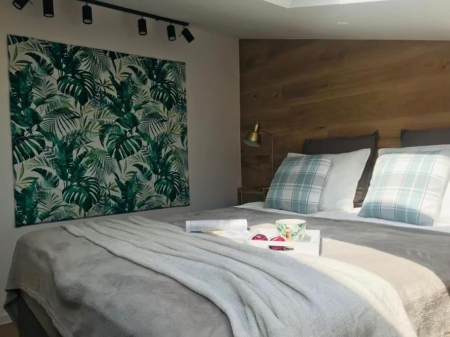 Qwadrat Apartament 15 In Bielsko-Biala City Center Eksteriør billede